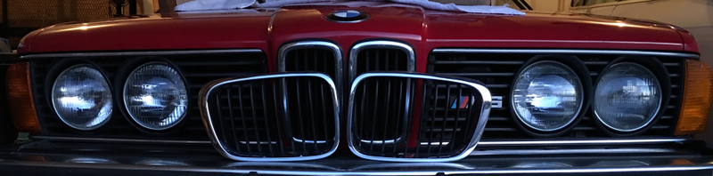 Illustration for article titled E24 vs. E46 kidney grilles